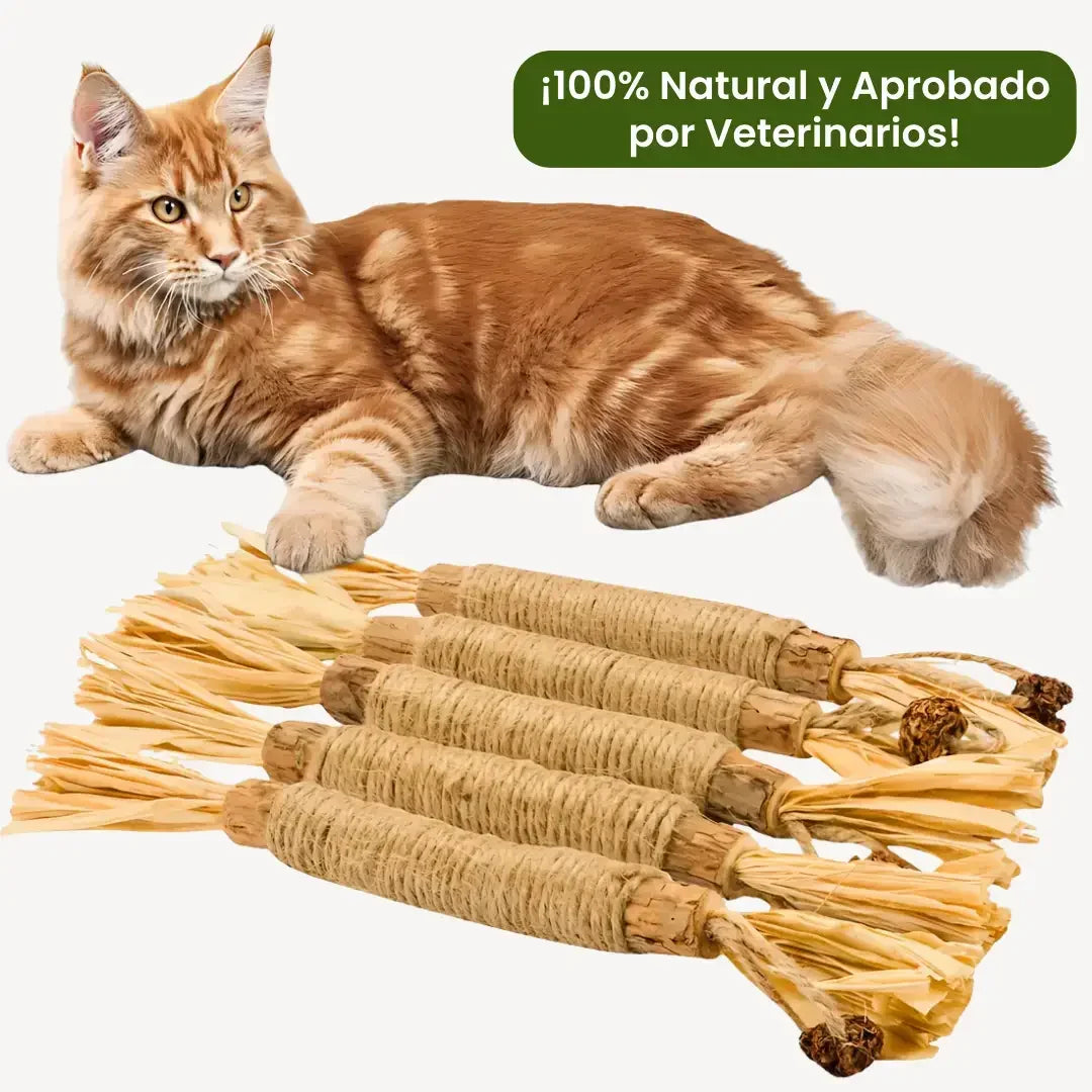 PetLupi® | Palitos Dentales Naturales de Silvervine