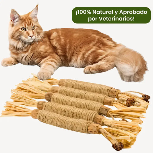 PetLupi® | Palitos Dentales Naturales de Silvervine