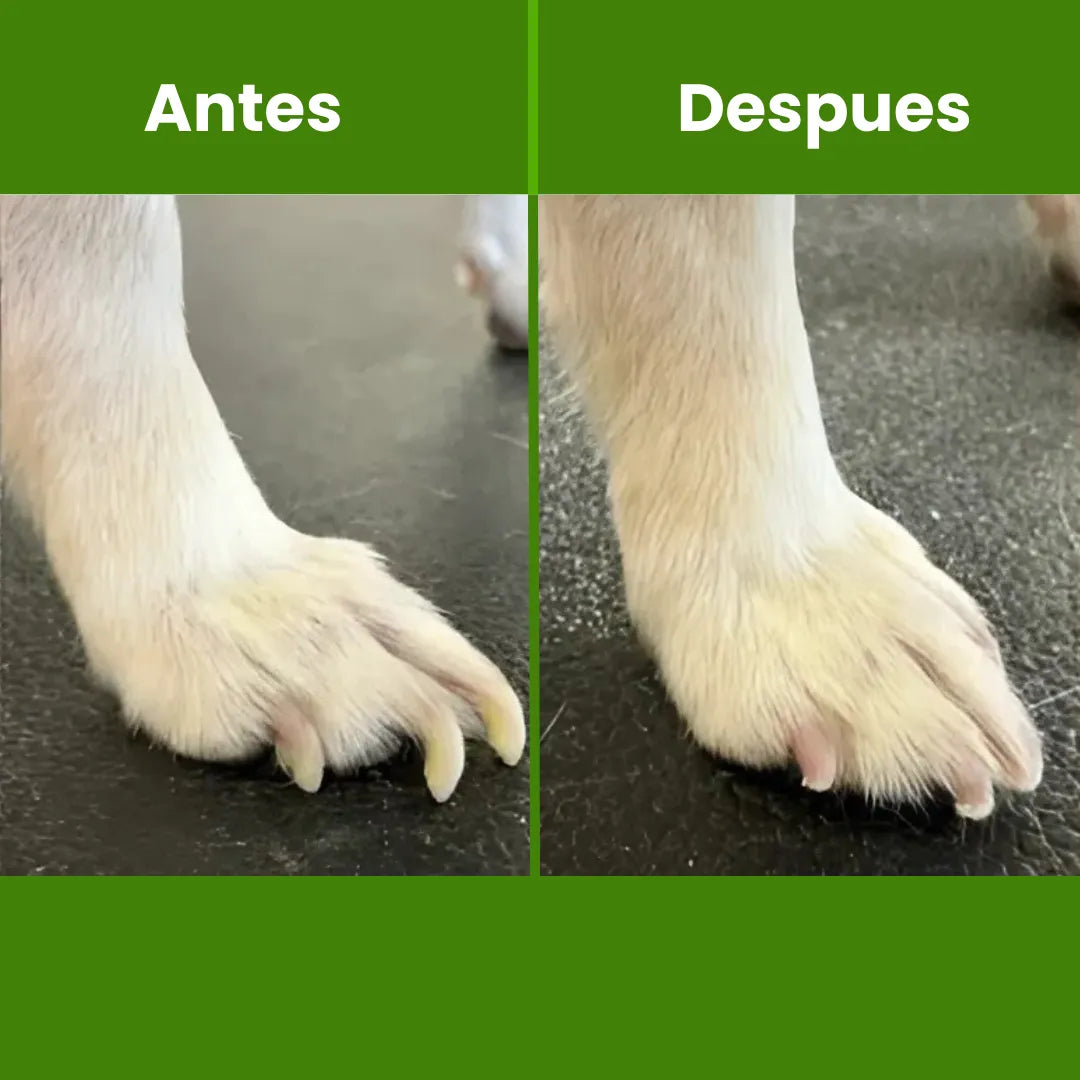 PetLupi® | Corte de uñas seguro, sin estrés