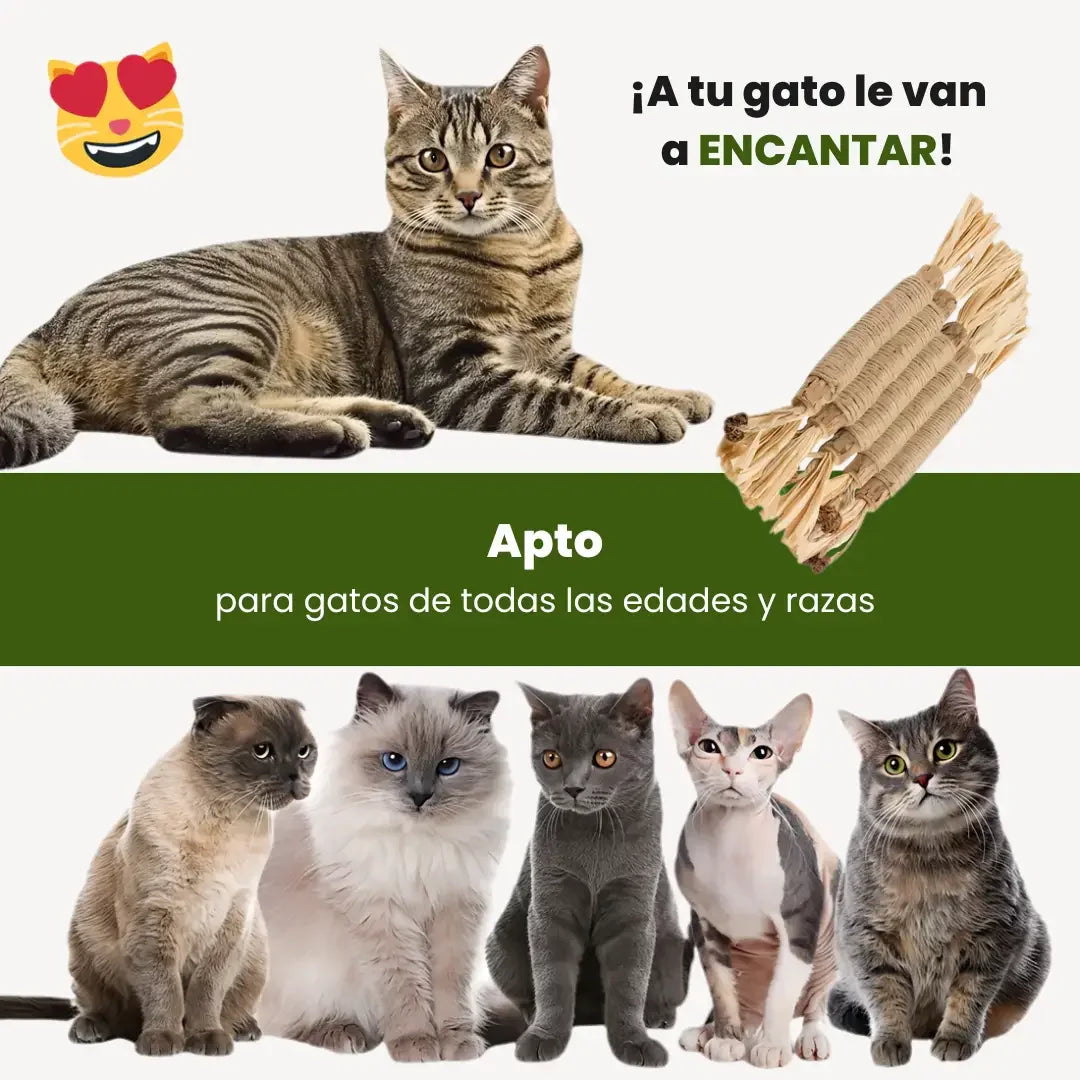 PetLupi® | Palitos Dentales Naturales de Silvervine