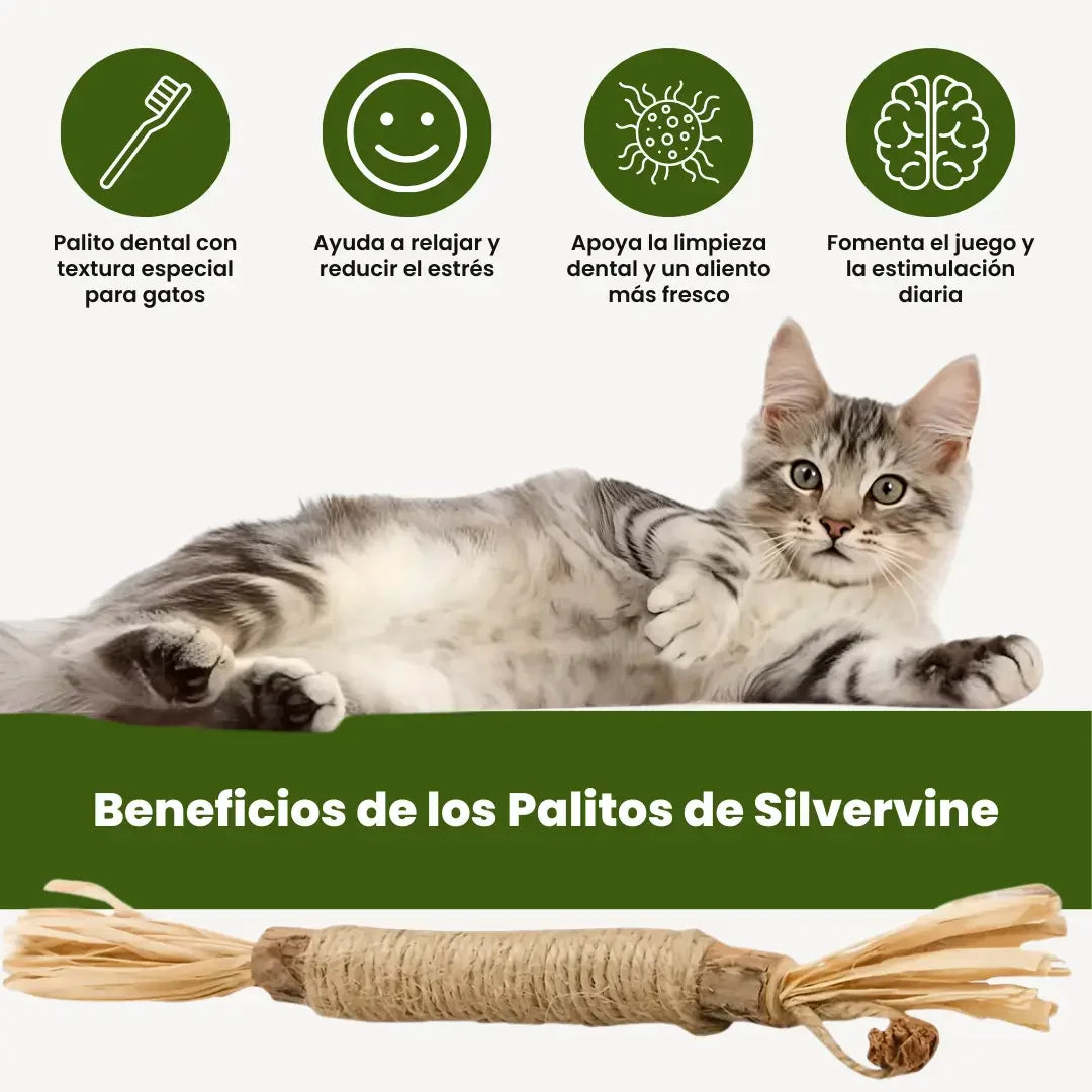 PetLupi® | Palitos Dentales Naturales de Silvervine
