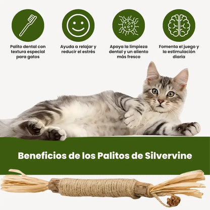 PetLupi® | Palitos Dentales Naturales de Silvervine