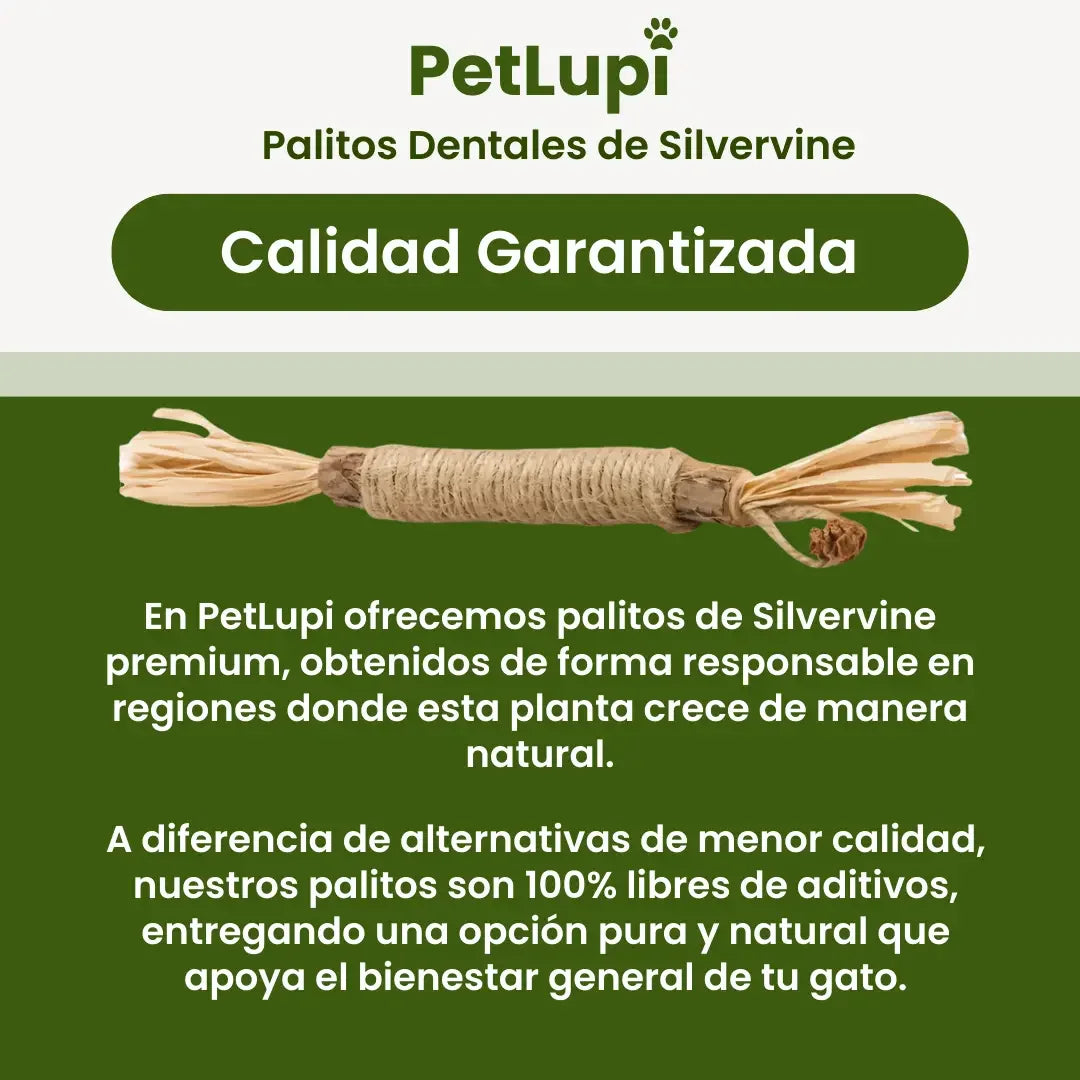 PetLupi® | Palitos Dentales Naturales de Silvervine
