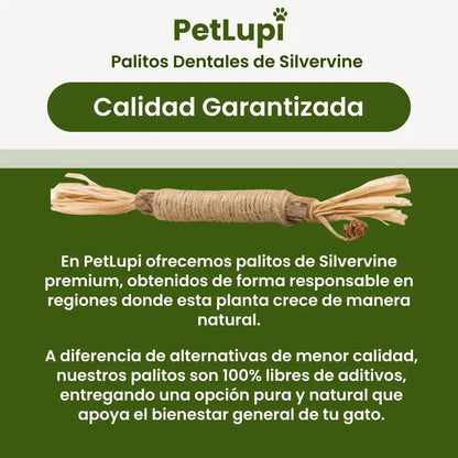 PetLupi® | Palitos Dentales Naturales de Silvervine