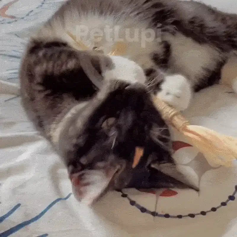 PetLupi® | Palitos Dentales Naturales de Silvervine